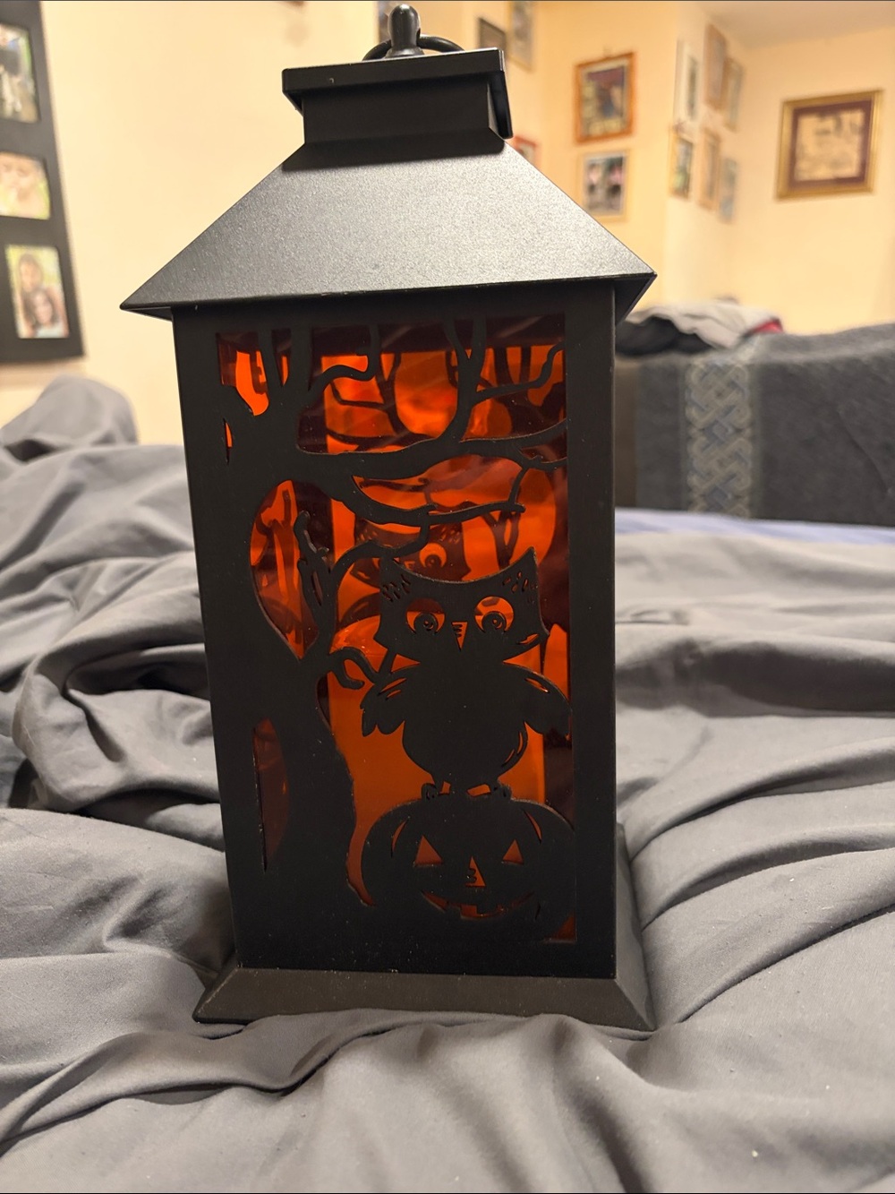 Black Halloween Owl Lantern with Orange Plastic Panels And Electric Candle